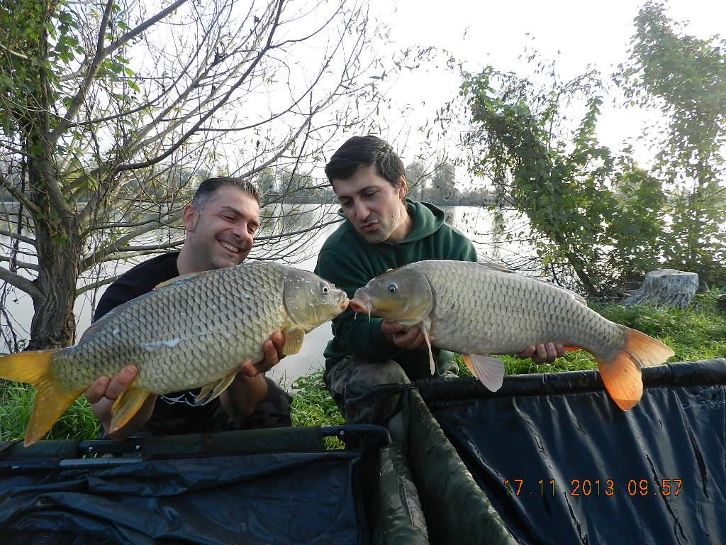 15 noiembrie 2013 - dscn1819.JPG